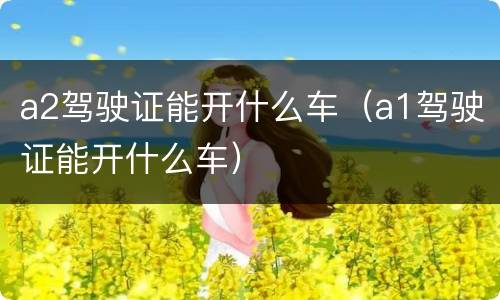 a2驾驶证能开什么车（a1驾驶证能开什么车）