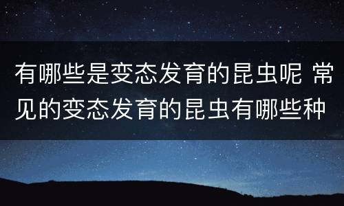 有哪些是变态发育的昆虫呢 常见的变态发育的昆虫有哪些种类