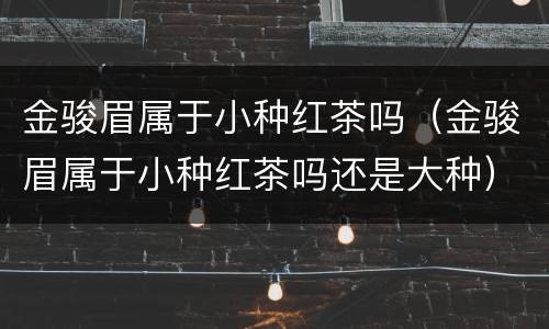 金骏眉属于小种红茶吗（金骏眉属于小种红茶吗还是大种）