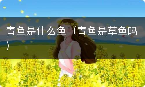 青鱼是什么鱼（青鱼是草鱼吗）