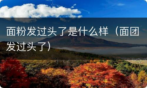 面粉发过头了是什么样（面团发过头了）