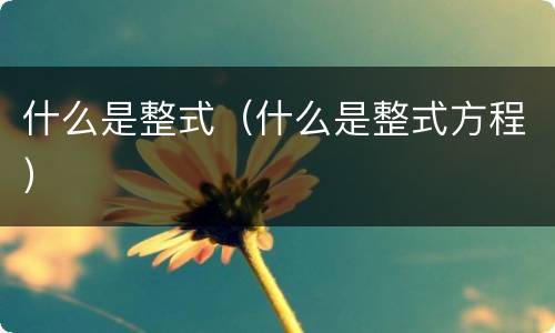 什么是整式（什么是整式方程）