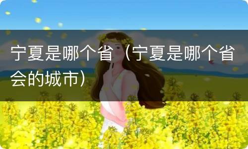 宁夏是哪个省（宁夏是哪个省会的城市）