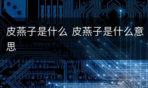 皮燕子是什么 皮燕子是什么意思