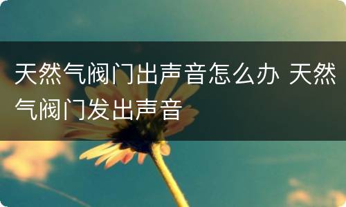天然气阀门出声音怎么办 天然气阀门发出声音