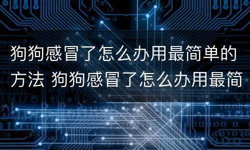 狗狗感冒了怎么办用最简单的方法 狗狗感冒了怎么办用最简单的方法治疗