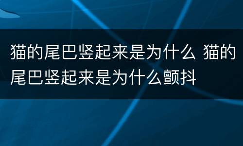 猫的尾巴竖起来是为什么 猫的尾巴竖起来是为什么颤抖
