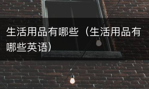 生活用品有哪些（生活用品有哪些英语）
