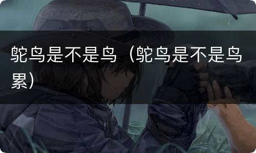 鸵鸟是不是鸟（鸵鸟是不是鸟累）