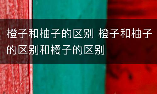 橙子和柚子的区别 橙子和柚子的区别和橘子的区别