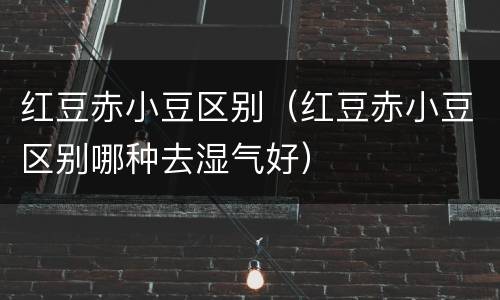 红豆赤小豆区别（红豆赤小豆区别哪种去湿气好）