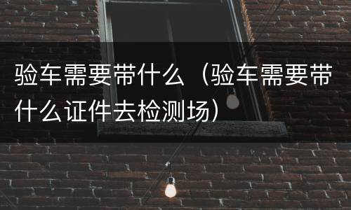 验车需要带什么（验车需要带什么证件去检测场）