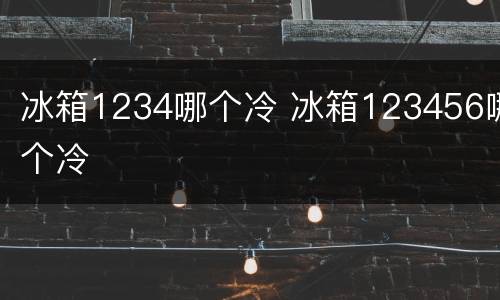 冰箱1234哪个冷 冰箱123456哪个冷