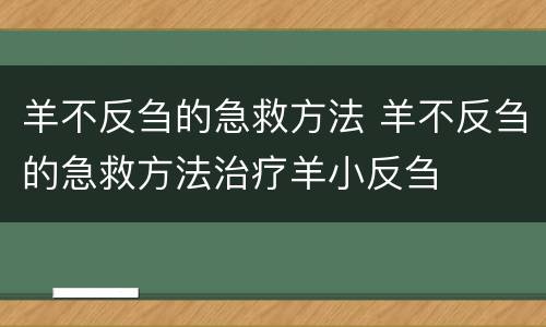 羊不反刍的急救方法 羊不反刍的急救方法治疗羊小反刍