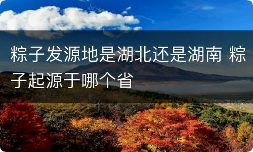 粽子发源地是湖北还是湖南 粽子起源于哪个省