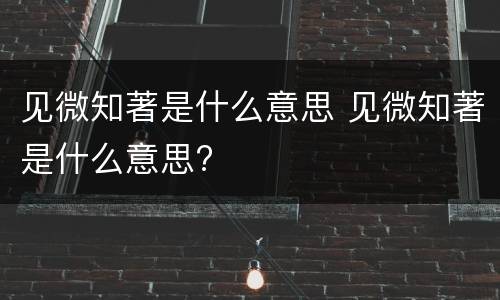 见微知著是什么意思 见微知著是什么意思?