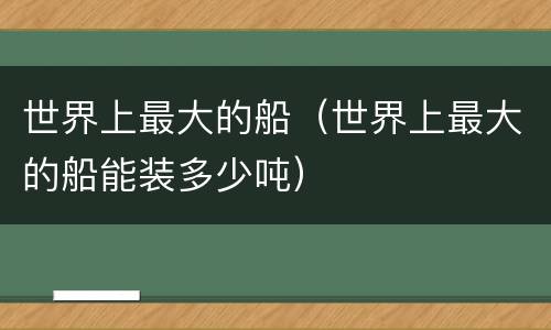 世界上最大的船（世界上最大的船能装多少吨）