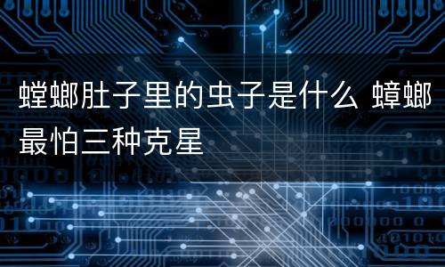 螳螂肚子里的虫子是什么 蟑螂最怕三种克星