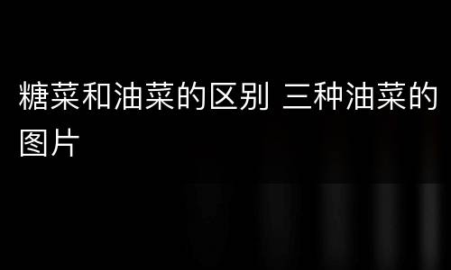 糖菜和油菜的区别 三种油菜的图片