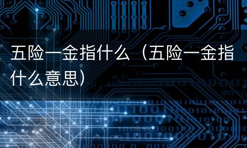五险一金指什么（五险一金指什么意思）