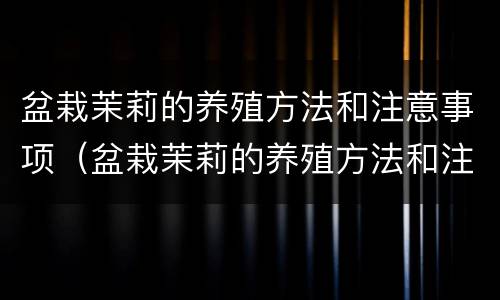 盆栽茉莉的养殖方法和注意事项（盆栽茉莉的养殖方法和注意事项冬季）