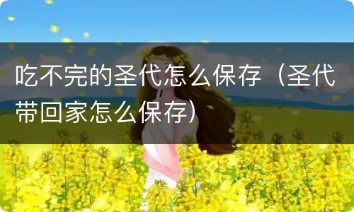 吃不完的圣代怎么保存（圣代带回家怎么保存）