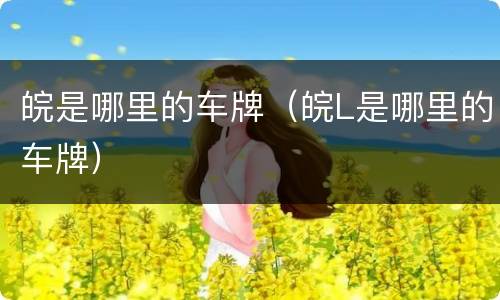 皖是哪里的车牌（皖L是哪里的车牌）