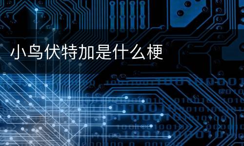小鸟伏特加是什么梗