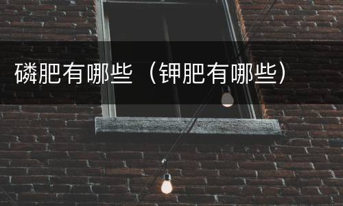 磷肥有哪些（钾肥有哪些）