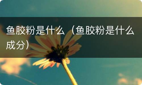 鱼胶粉是什么（鱼胶粉是什么成分）