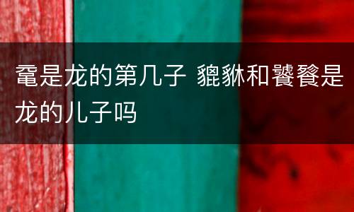 鼋是龙的第几子 貔貅和饕餮是龙的儿子吗