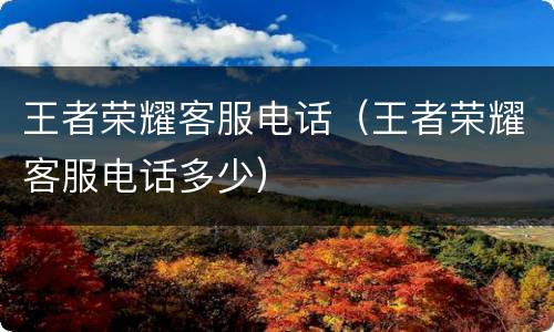 王者荣耀客服电话（王者荣耀客服电话多少）