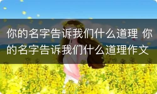你的名字告诉我们什么道理 你的名字告诉我们什么道理作文