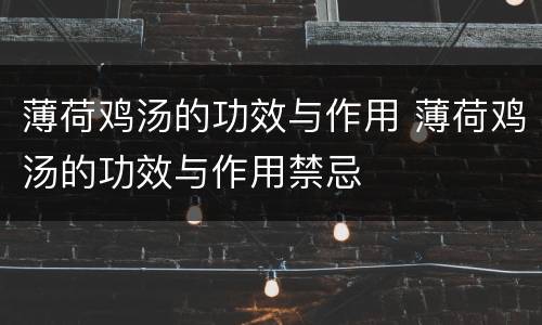 薄荷鸡汤的功效与作用 薄荷鸡汤的功效与作用禁忌