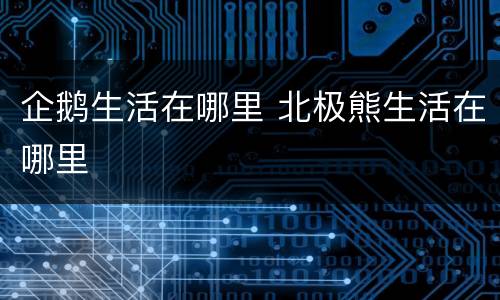 企鹅生活在哪里 北极熊生活在哪里