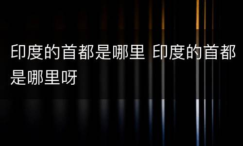 印度的首都是哪里 印度的首都是哪里呀
