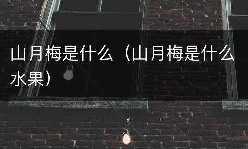山月梅是什么（山月梅是什么水果）