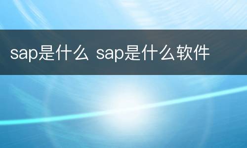sap是什么 sap是什么软件