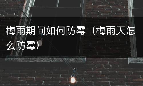 梅雨期间如何防霉（梅雨天怎么防霉）