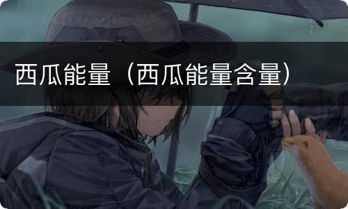 西瓜能量（西瓜能量含量）