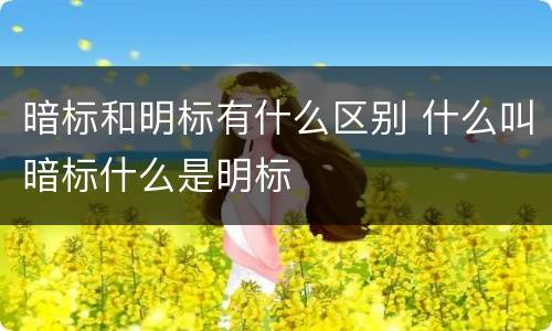 暗标和明标有什么区别 什么叫暗标什么是明标