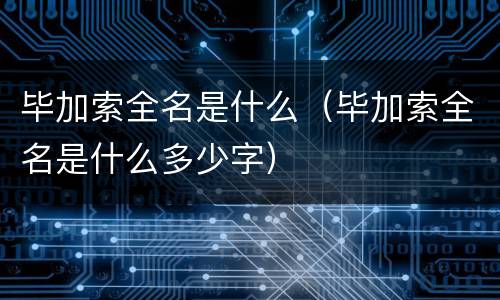 毕加索全名是什么（毕加索全名是什么多少字）