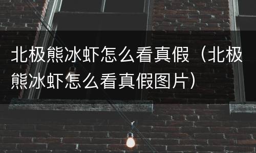 北极熊冰虾怎么看真假（北极熊冰虾怎么看真假图片）