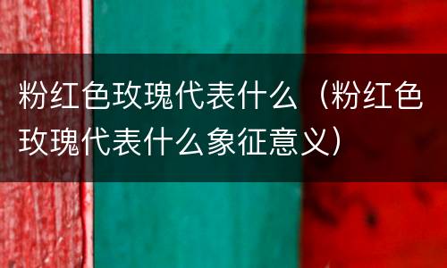 粉红色玫瑰代表什么（粉红色玫瑰代表什么象征意义）
