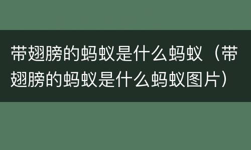 带翅膀的蚂蚁是什么蚂蚁（带翅膀的蚂蚁是什么蚂蚁图片）