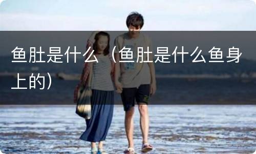 鱼肚是什么（鱼肚是什么鱼身上的）