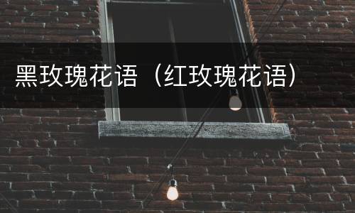 黑玫瑰花语（红玫瑰花语）