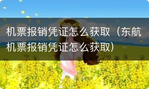 机票报销凭证怎么获取（东航机票报销凭证怎么获取）