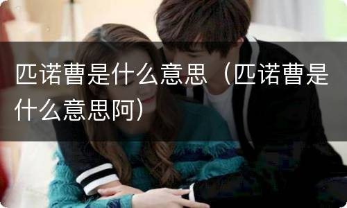 匹诺曹是什么意思（匹诺曹是什么意思阿）