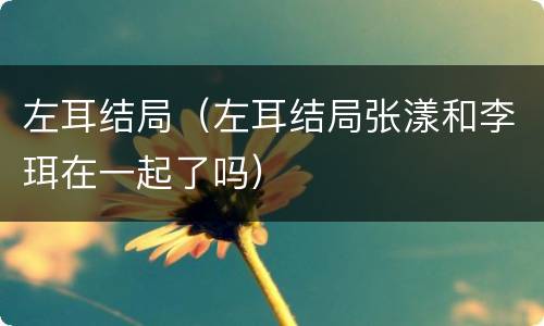 左耳结局（左耳结局张漾和李珥在一起了吗）
